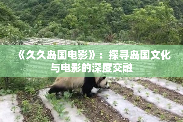 《久久岛国电影》：探寻岛国文化与电影的深度交融