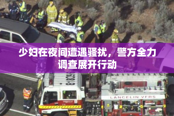 少妇在夜间遭遇骚扰，警方全力调查展开行动