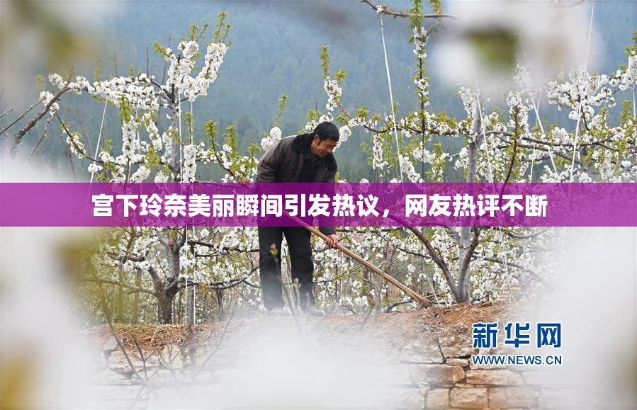 宫下玲奈美丽瞬间引发热议，网友热评不断
