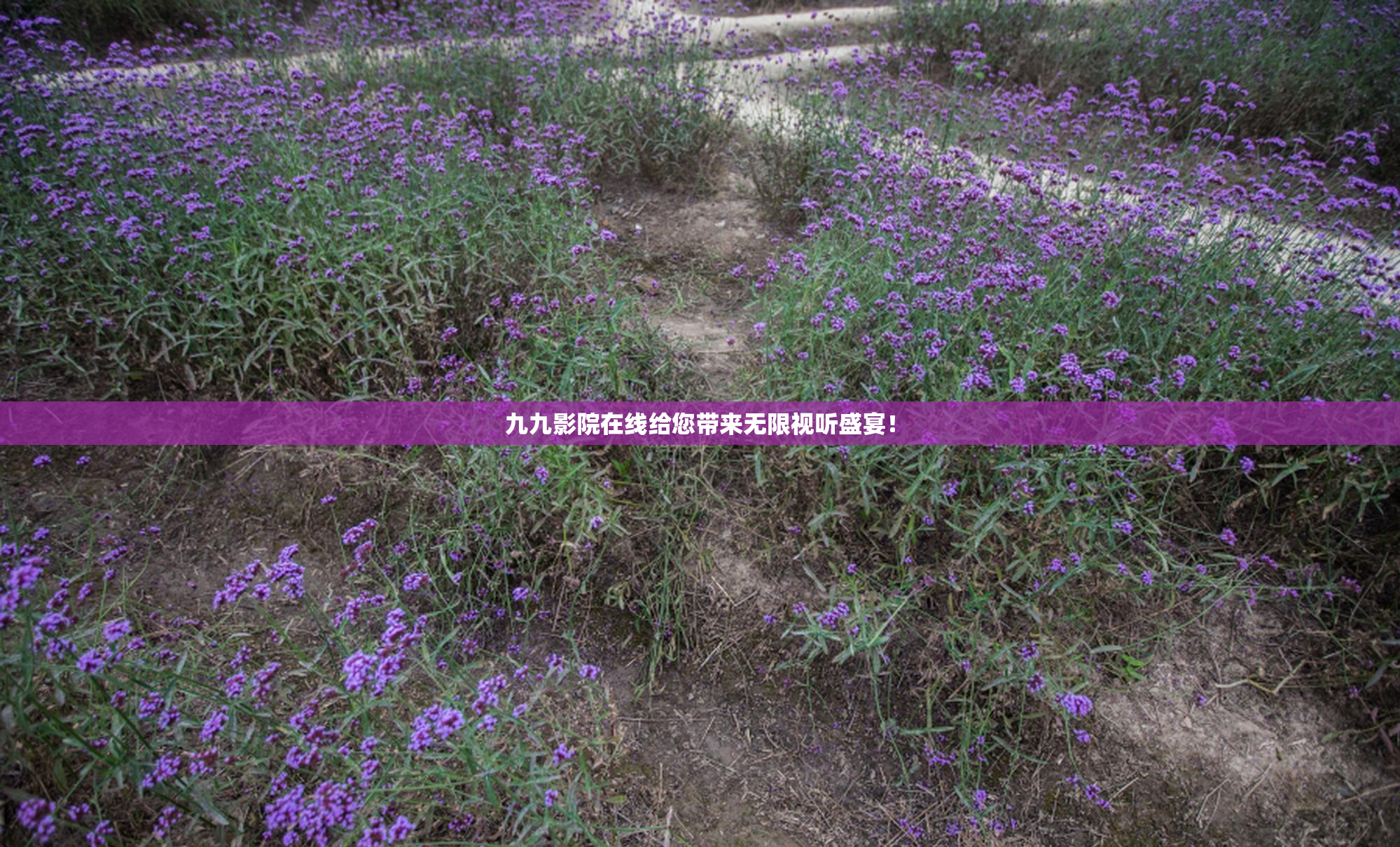 九九影院在线给您带来无限视听盛宴！
