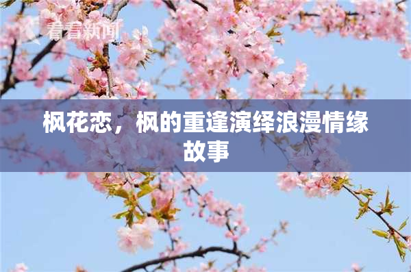 枫花恋，枫的重逢演绎浪漫情缘故事