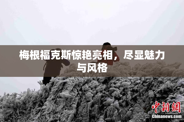 梅根福克斯惊艳亮相，尽显魅力与风格