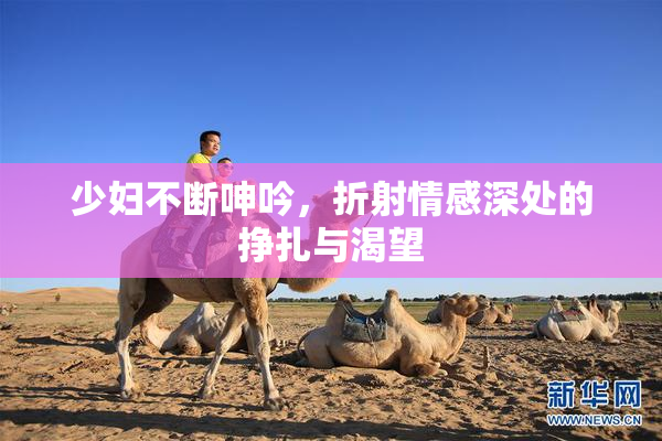 少妇不断呻吟，折射情感深处的挣扎与渴望
