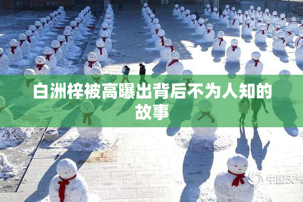 白洲梓被高曝出背后不为人知的故事
