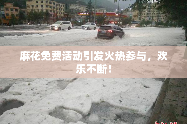 麻花免费活动引发火热参与，欢乐不断！
