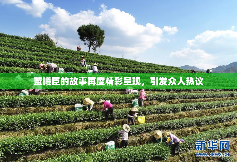 蓝曦臣的故事再度精彩呈现，引发众人热议