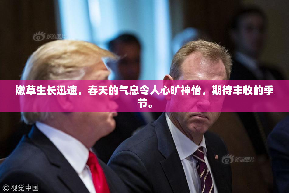 嫩草生长迅速，春天的气息令人心旷神怡，期待丰收的季节。