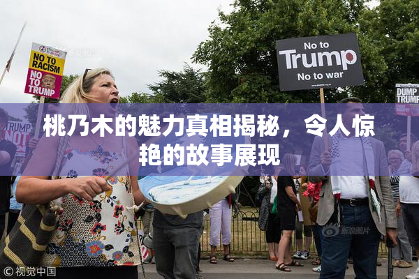 桃乃木的魅力真相揭秘，令人惊艳的故事展现