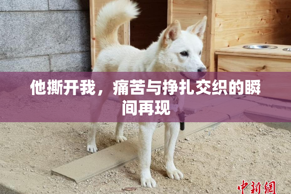 他撕开我，痛苦与挣扎交织的瞬间再现