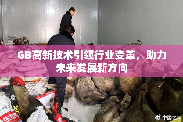 GB高新技术引领行业变革，助力未来发展新方向