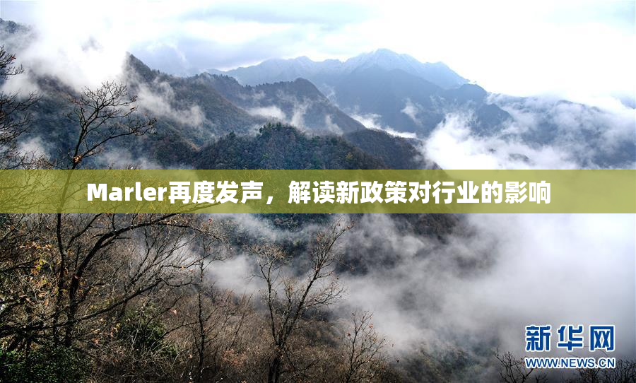 Marler再度发声，解读新政策对行业的影响