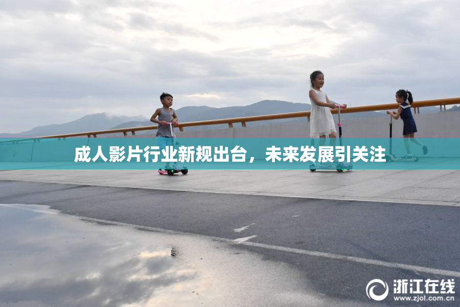 成人影片行业新规出台，未来发展引关注
