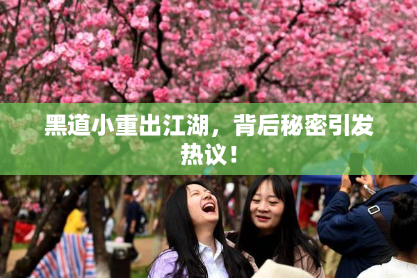 黑道小重出江湖，背后秘密引发热议！