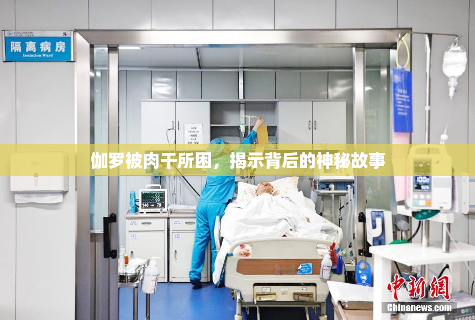 伽罗被肉干所困，揭示背后的神秘故事