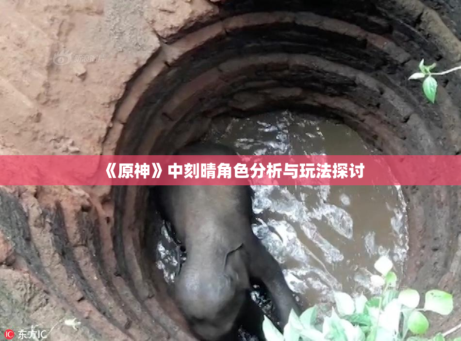 《原神》中刻晴角色分析与玩法探讨
