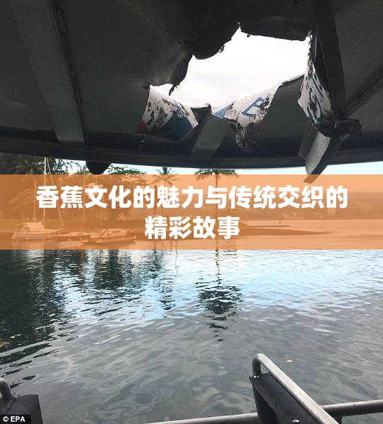 香蕉文化的魅力与传统交织的精彩故事