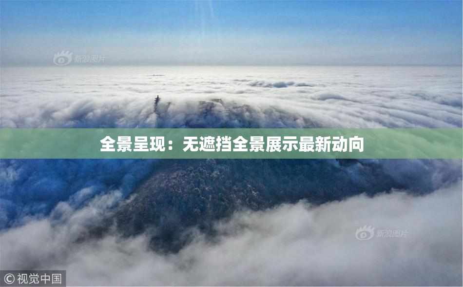 全景呈现：无遮挡全景展示最新动向