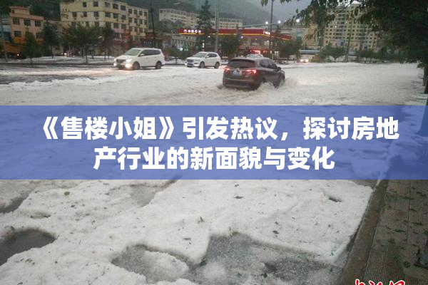 《售楼小姐》引发热议，探讨房地产行业的新面貌与变化