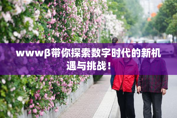 wwwβ带你探索数字时代的新机遇与挑战！