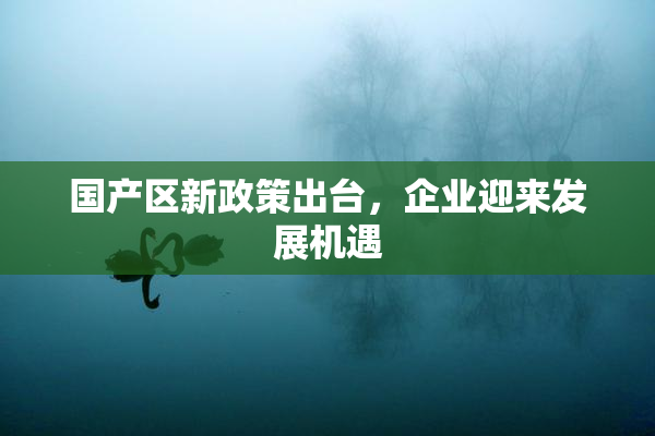 国产区新政策出台，企业迎来发展机遇
