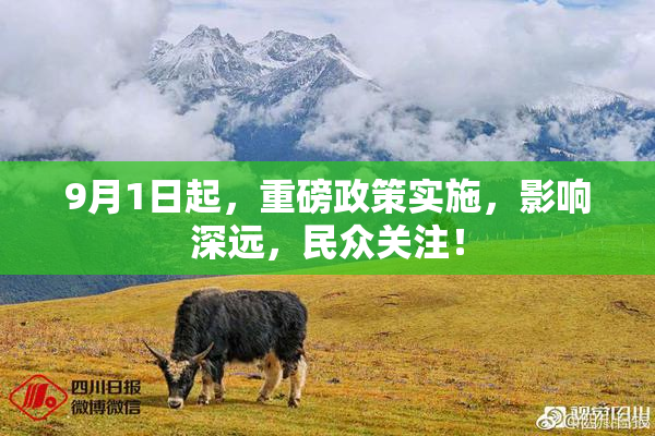 9月1日起，重磅政策实施，影响深远，民众关注！
