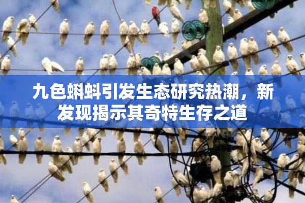 九色蝌蚪引发生态研究热潮，新发现揭示其奇特生存之道