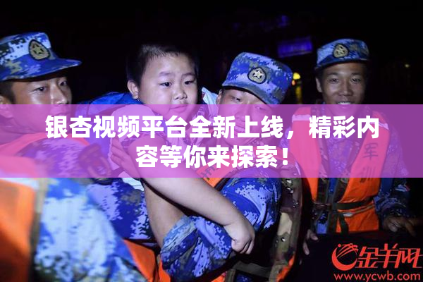 银杏视频平台全新上线，精彩内容等你来探索！