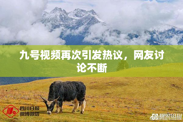 九号视频再次引发热议，网友讨论不断
