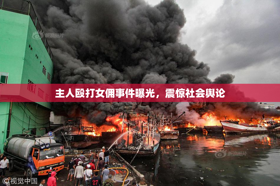 主人殴打女佣事件曝光，震惊社会舆论