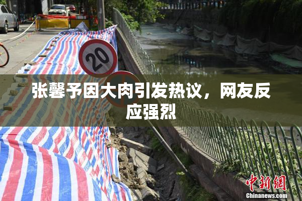张馨予因大肉引发热议，网友反应强烈