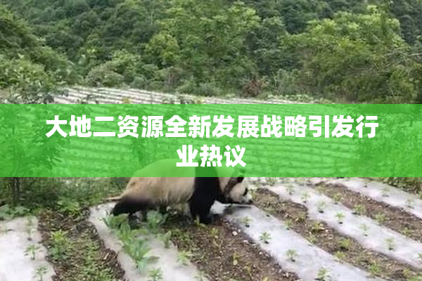 大地二资源全新发展战略引发行业热议
