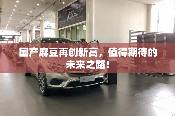 国产麻豆再创新高，值得期待的未来之路！