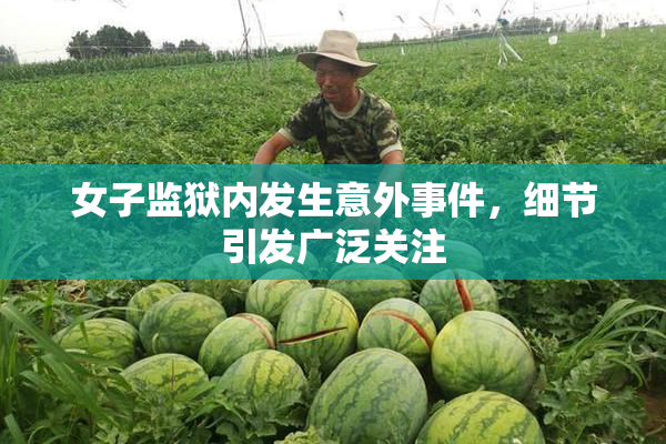 女子监狱内发生意外事件，细节引发广泛关注