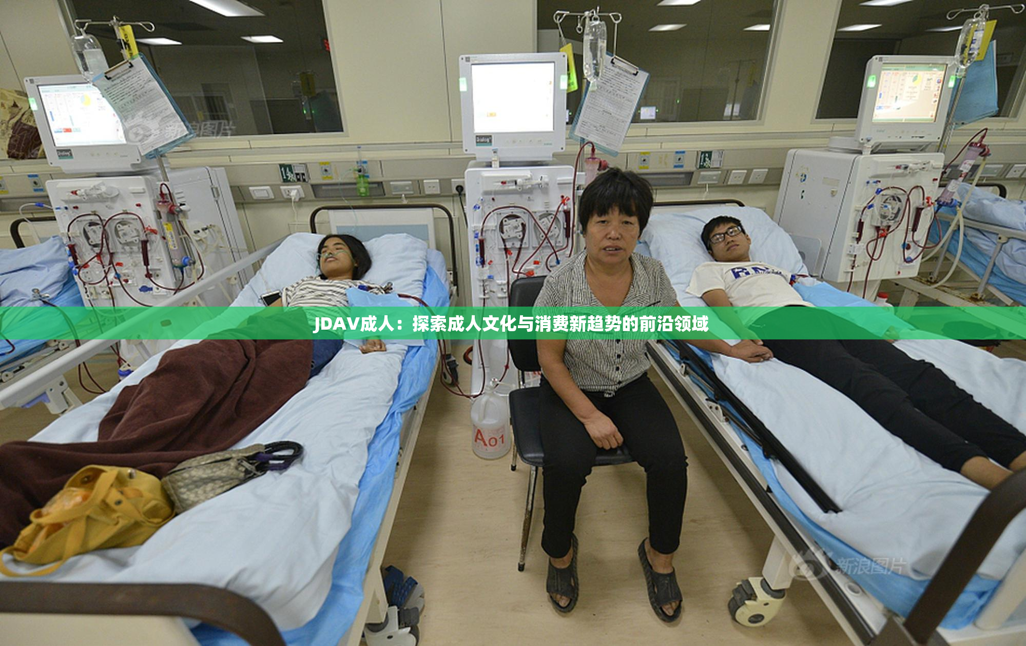 JDAV成人：探索成人文化与消费新趋势的前沿领域