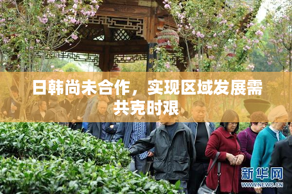 日韩尚未合作，实现区域发展需共克时艰