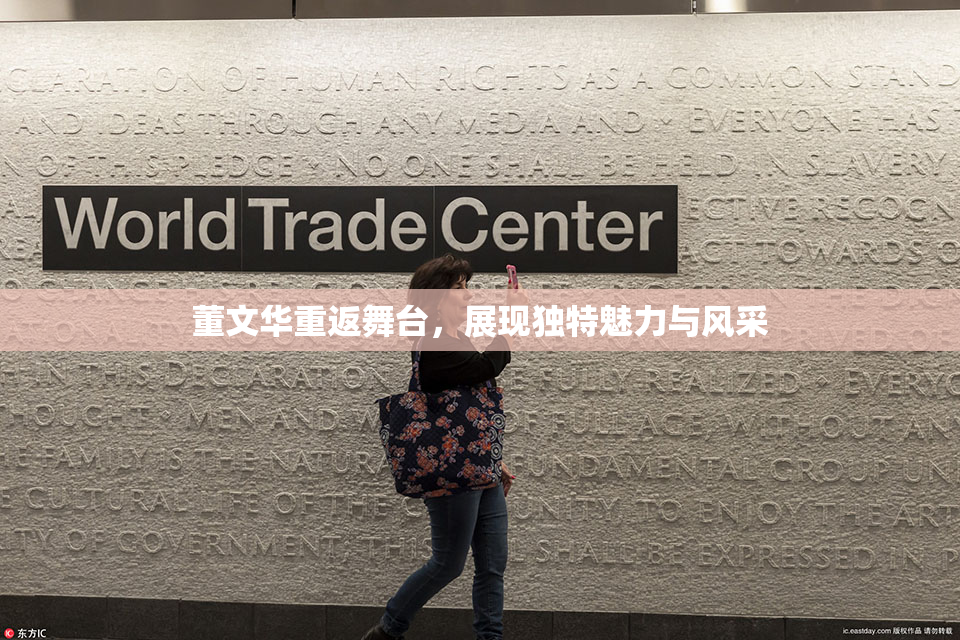 董文华重返舞台，展现独特魅力与风采