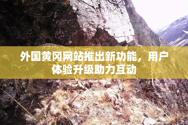 外国黄冈网站推出新功能，用户体验升级助力互动