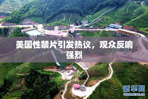 美国性禁片引发热议，观众反响强烈