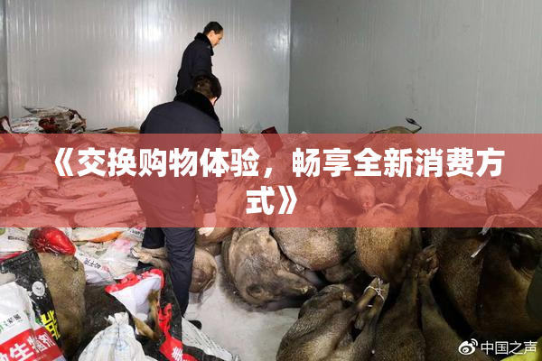 《交换购物体验，畅享全新消费方式》