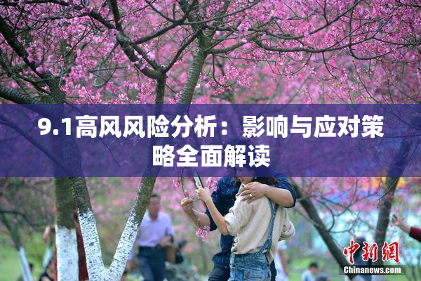 9.1高风风险分析：影响与应对策略全面解读