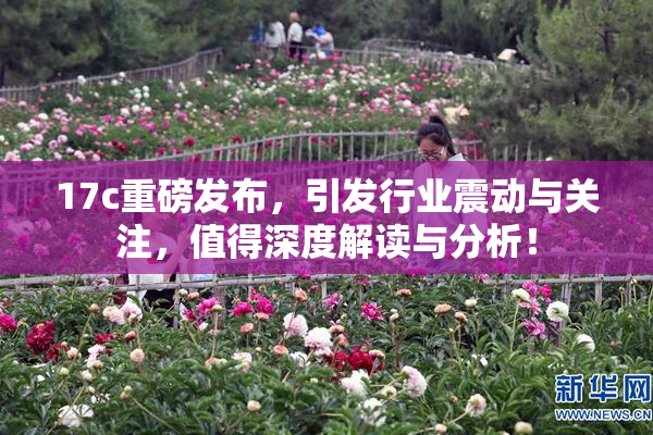 17c重磅发布，引发行业震动与关注，值得深度解读与分析！