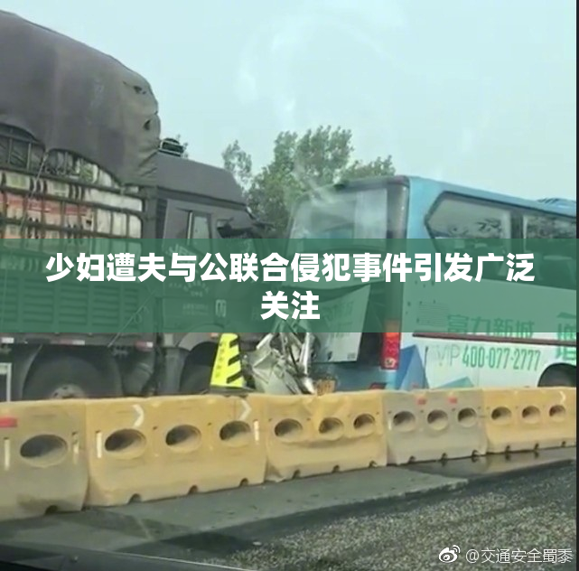 少妇遭夫与公联合侵犯事件引发广泛关注