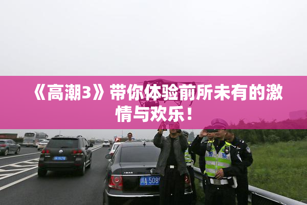《高潮3》带你体验前所未有的激情与欢乐！