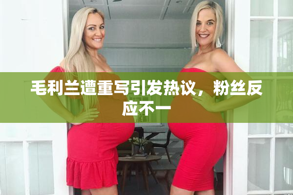 毛利兰遭重写引发热议，粉丝反应不一