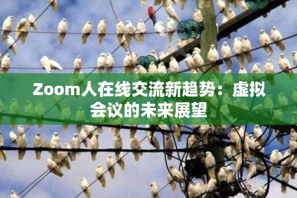 Zoom人在线交流新趋势：虚拟会议的未来展望