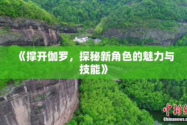 《撑开伽罗，探秘新角色的魅力与技能》