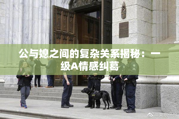 公与媳之间的复杂关系揭秘：一级A情感纠葛