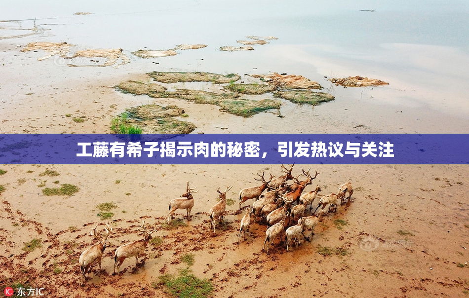 工藤有希子揭示肉的秘密，引发热议与关注