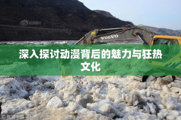 深入探讨动漫背后的魅力与狂热文化