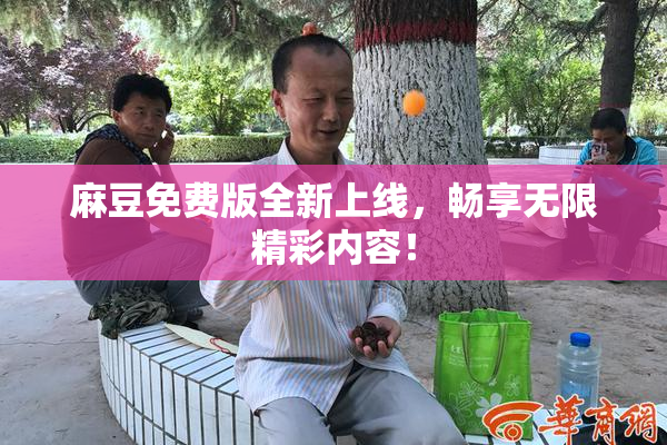 麻豆免费版全新上线，畅享无限精彩内容！